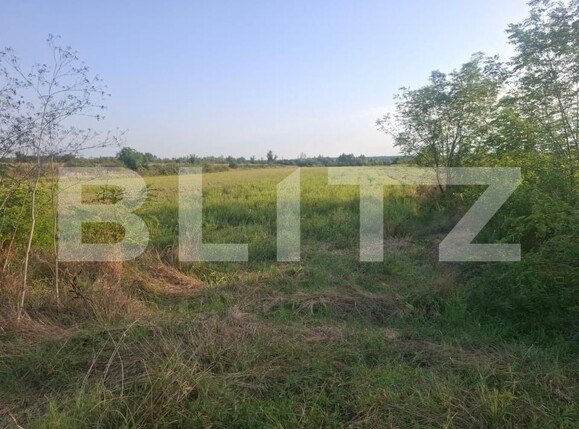 Teren de vânzare Viisoara - 204266TV | BLITZ Târgoviște | Poza1