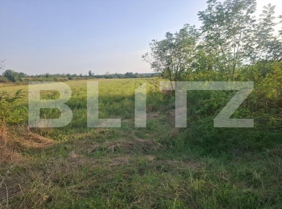 Teren de vânzare Viisoara - 204266TV | BLITZ Târgoviște | Poza4