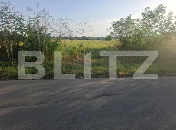 Teren de vânzare Viisoara - 204266TV | BLITZ Târgoviște | Poza5