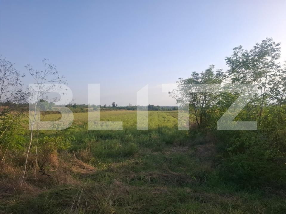 Teren de vânzare Viisoara - 204266TV | BLITZ Târgoviște | Poza3