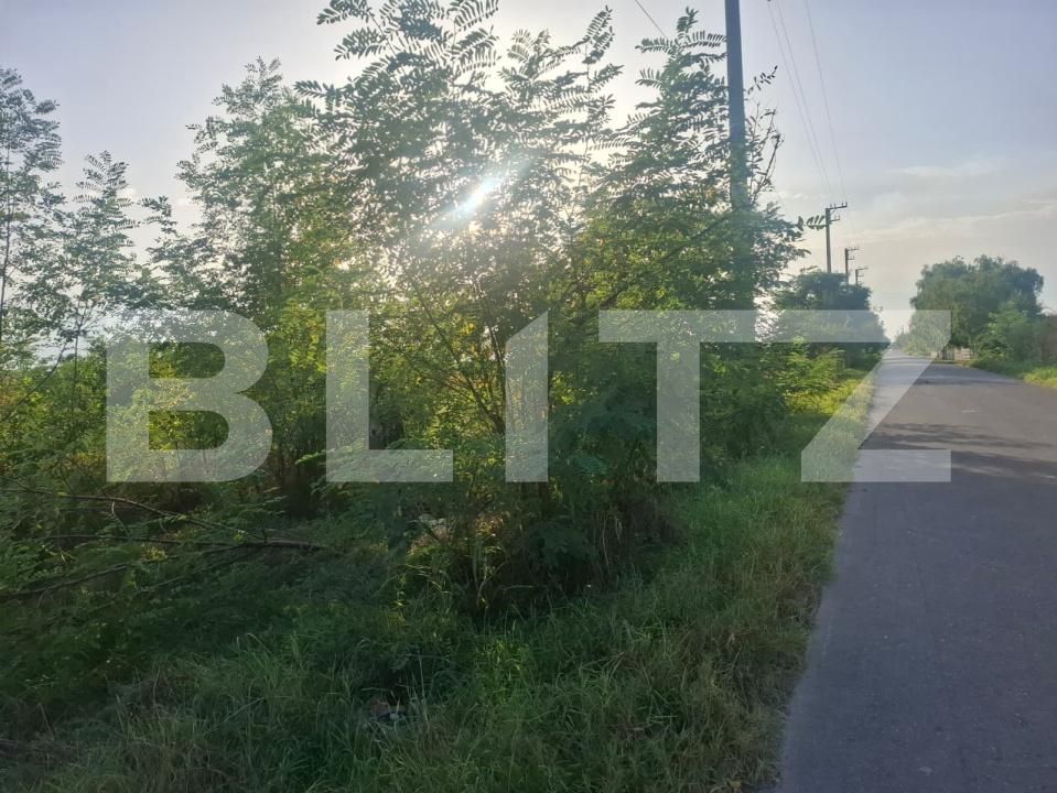 Teren de vânzare Viisoara - 204266TV | BLITZ Târgoviște | Poza2