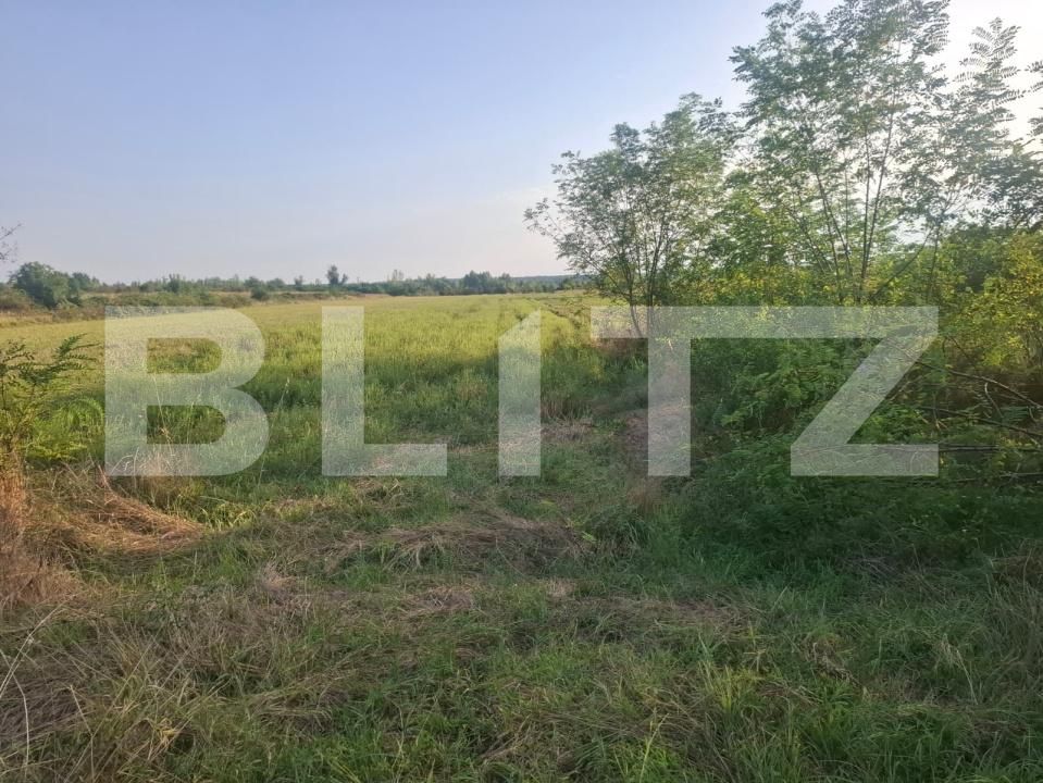 Teren de vânzare Viisoara - 204266TV | BLITZ Târgoviște | Poza4