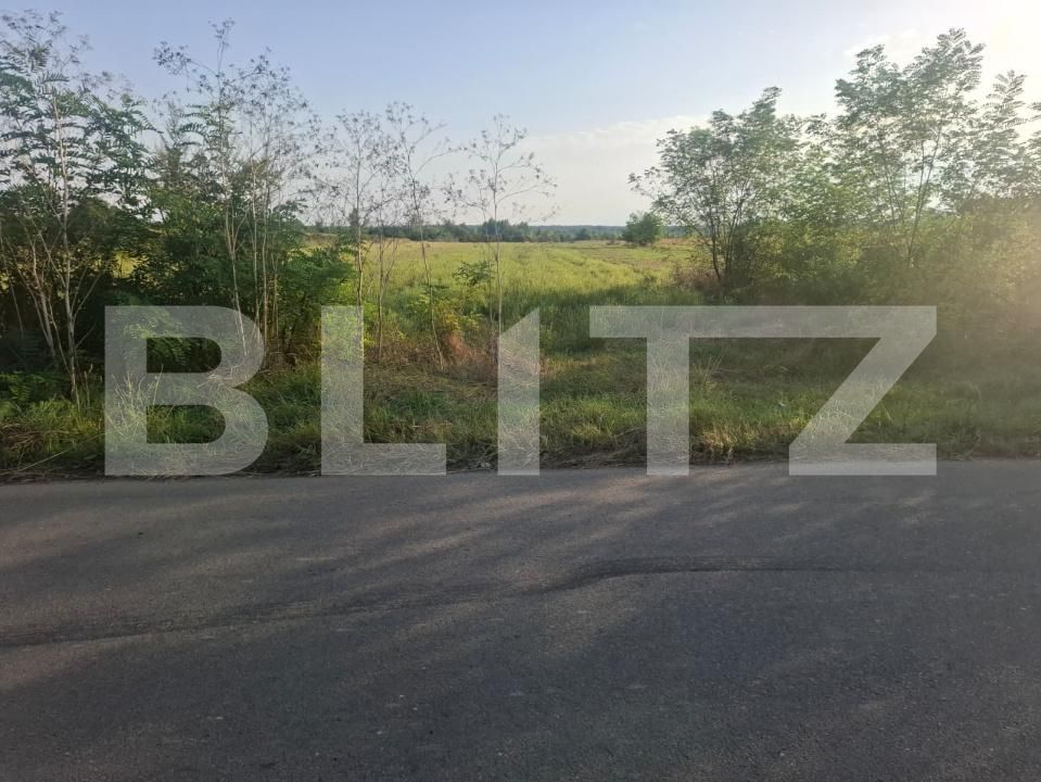 Teren de vânzare Viisoara - 204266TV | BLITZ Târgoviște | Poza5
