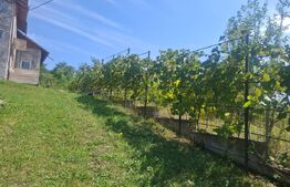 Casă 206 mp la gri, teren 1.832 mp, zona Glodeni Deal