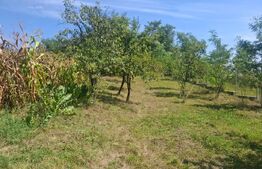 Casă 206 mp la gri, teren 1.832 mp, zona Glodeni Deal