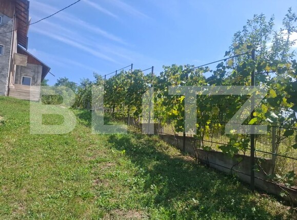 Casa de vânzare 6 camere Glodeni - 204284CV | BLITZ Târgoviște | Poza2