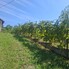 Casa de vânzare 6 camere Glodeni - 204284CV - Poza 1 din 22 | BLITZ Târgoviște | Poza1