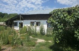 Teren 1.595 mp, construcții existente – Comuna Cobia, 