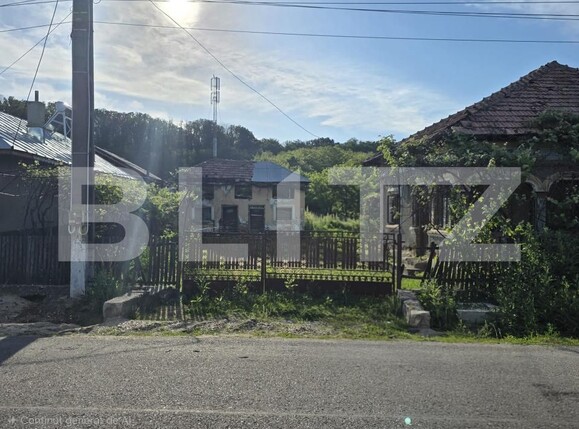 Teren de vânzare Cobia - 204288TV | BLITZ Târgoviște | Poza2