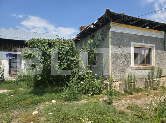Teren de vânzare Cobia - 204288TV | BLITZ Târgoviște | Poza9