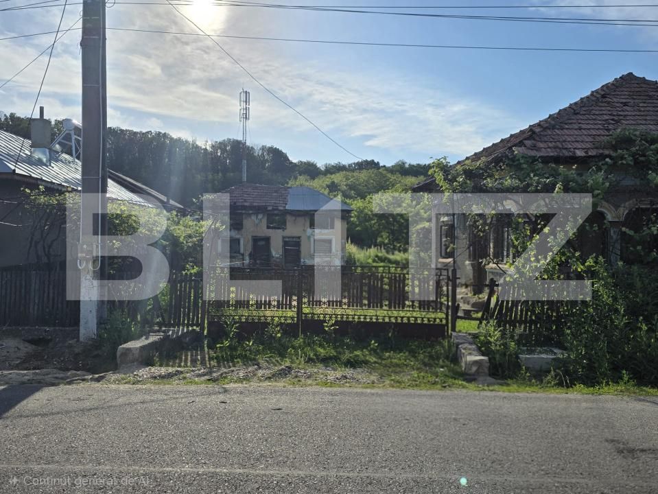 Teren de vânzare Cobia - 204288TV | BLITZ Târgoviște | Poza2