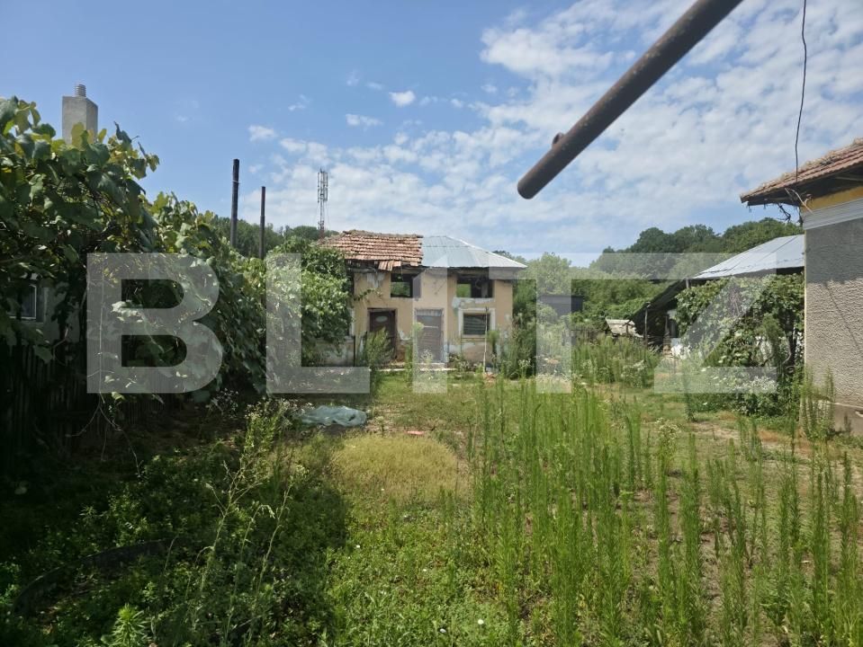 Teren de vânzare Cobia - 204288TV | BLITZ Târgoviște | Poza5