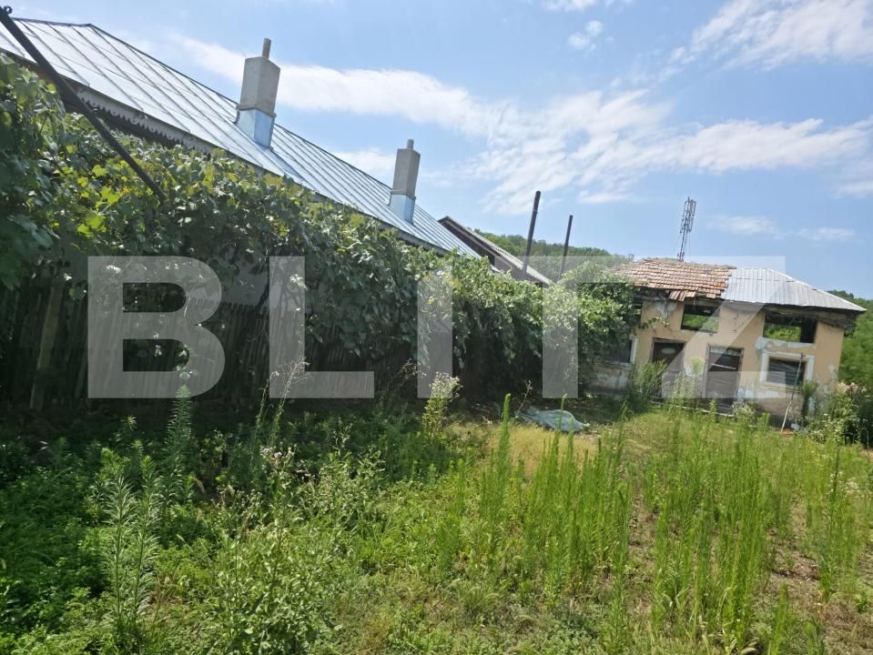 Teren de vânzare Cobia - 204288TV | BLITZ Târgoviște | Poza10
