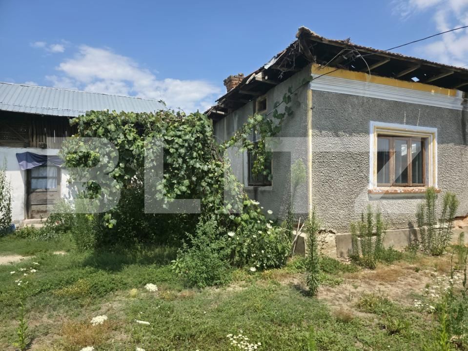 Teren de vânzare Cobia - 204288TV | BLITZ Târgoviște | Poza9