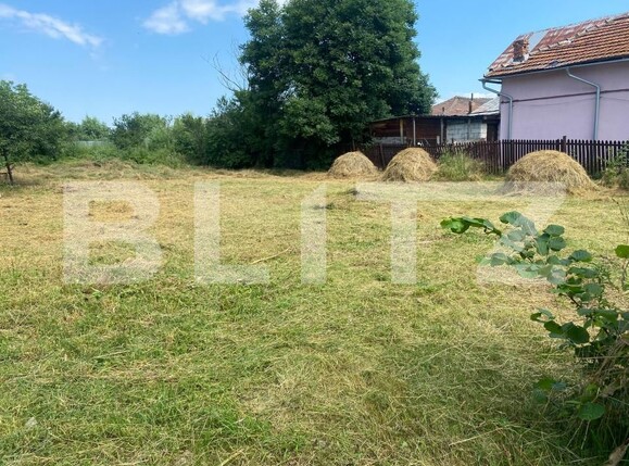 Casa de vânzare 3 camere Teis - 204341CV | BLITZ Târgoviște | Poza2