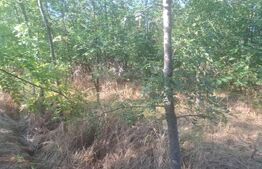 Teren extravilan de vaznare, 5000 mp, zona Matasaru