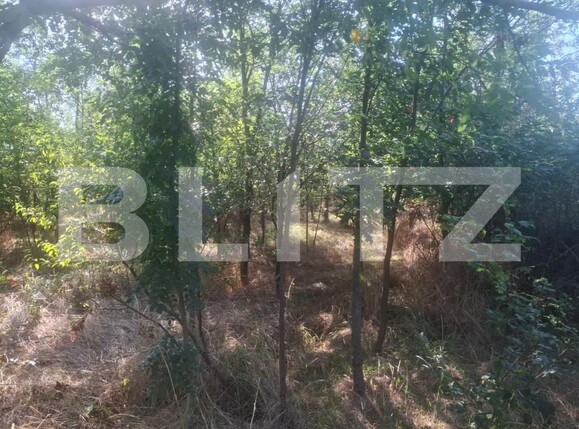 Teren de vânzare Matasaru - 204358TV | BLITZ Târgoviște | Poza4