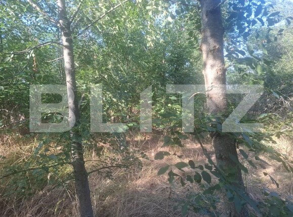 Teren de vânzare Matasaru - 204358TV | BLITZ Târgoviște | Poza7