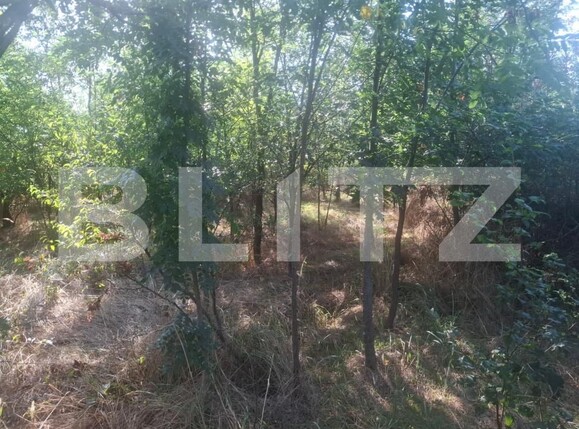 Teren de vânzare Matasaru - 204358TV | BLITZ Târgoviște | Poza1
