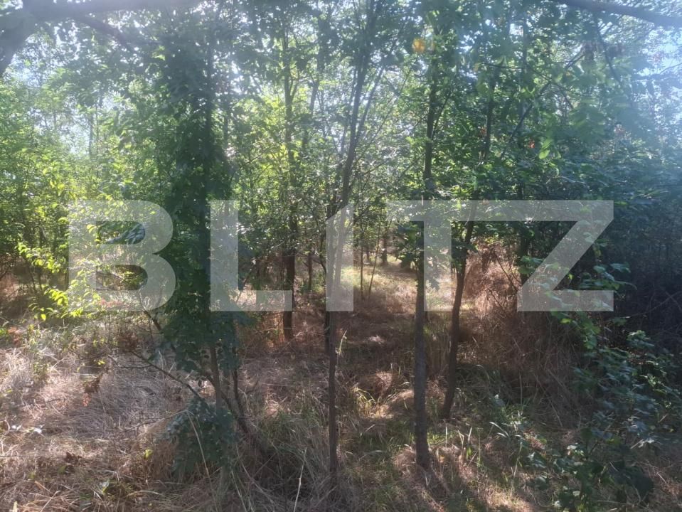 Teren de vânzare Matasaru - 204358TV | BLITZ Târgoviște | Poza4