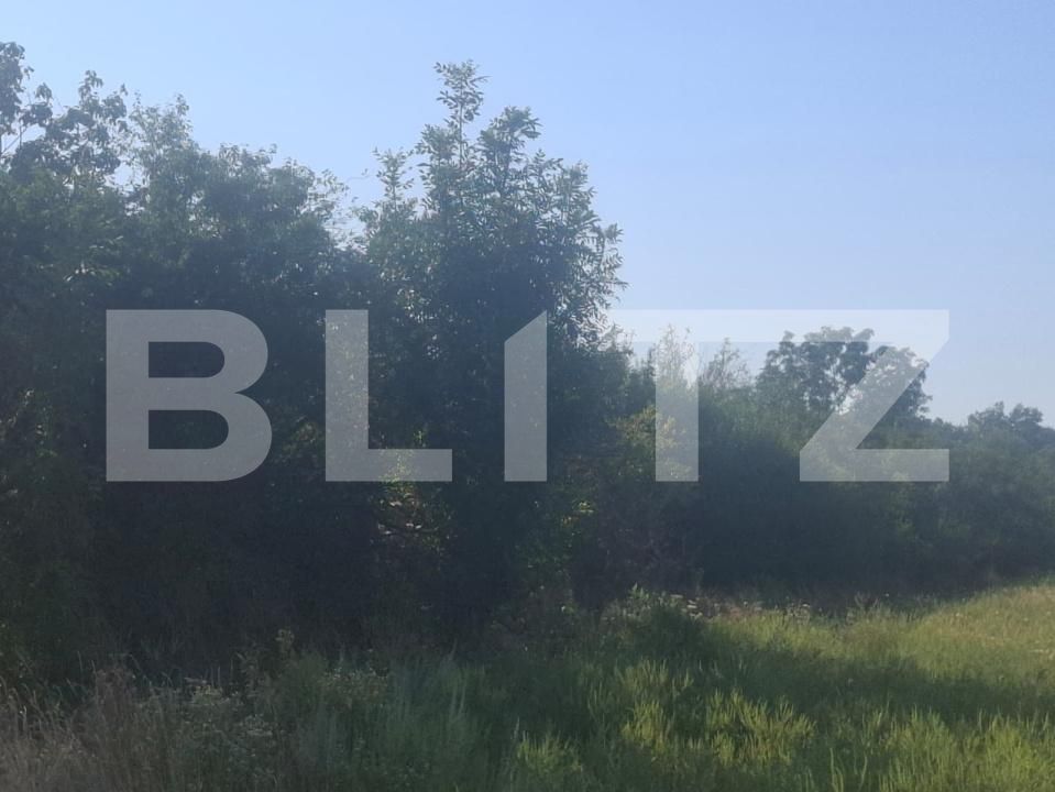 Teren de vânzare Matasaru - 204358TV | BLITZ Târgoviște | Poza2