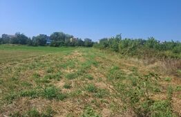 Teren agricol de vanzare, 1600 mp, zona Micro 11