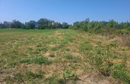 Teren agricol de vanzare, 1600 mp, zona Micro 11
