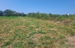 Teren agricol de vanzare, 1600 mp, zona Micro 11