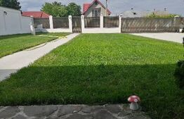 Casă de vânzare cu teren 1.530 mp, garaj, alarmă și supraveghere video 