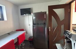 Casă de vânzare cu teren 1.530 mp, garaj, alarmă și supraveghere video 