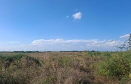 Teren de vanzare, 30000mp, zona Matasaru