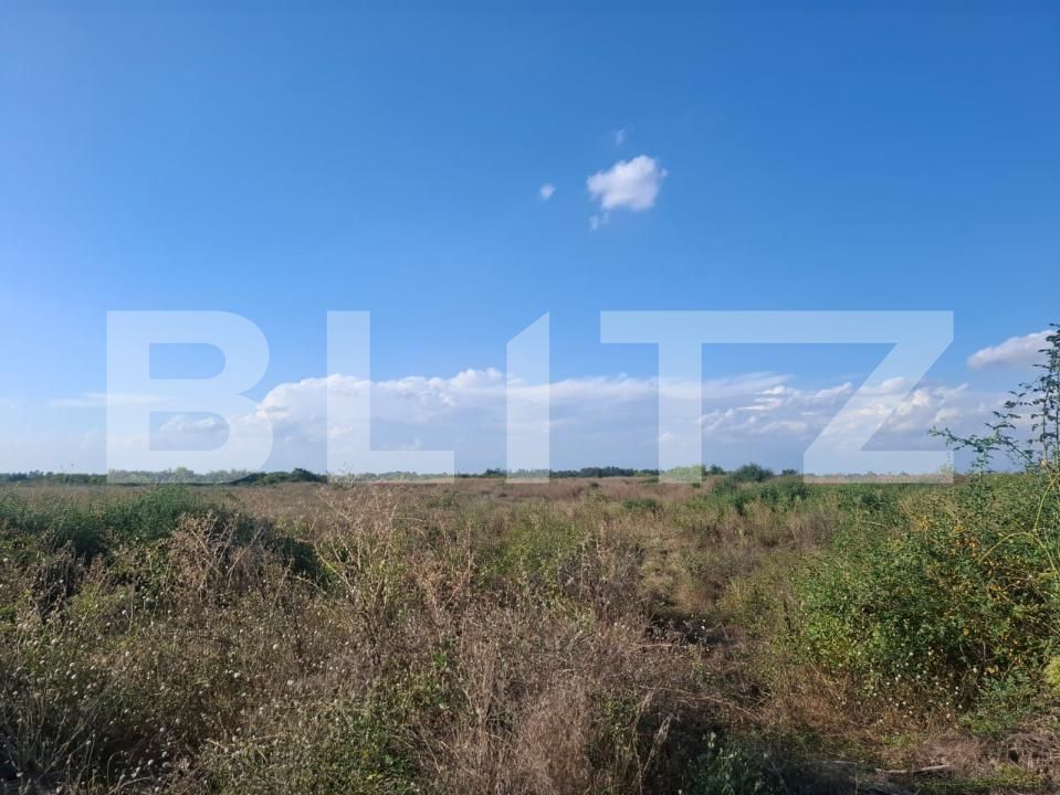 Teren de vânzare Matasaru - 204634TV | BLITZ Târgoviște | Poza2