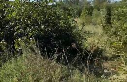 Teren de vânzare Rau Alb de Jos - 205643TV | BLITZ Târgoviște | Poza1