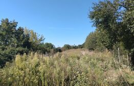 Teren de vânzare Centura, Târgoviște