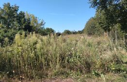 Teren intravilan, 800 mp, zona Cicom
