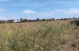 🌳 Teren intravilan de 5.400 mp | Matraca, județul Dâmbovița