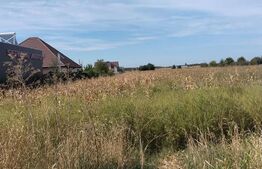 🌳 Teren intravilan de 5.400 mp | Matraca, județul Dâmbovița