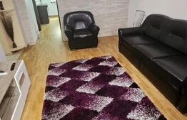 Apartament 2 camere, 55 mp, zona Ienachita Vacarescu