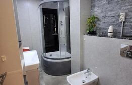 Apartament 2 camere, renovat și complet mobilat – I.C. Brătianu