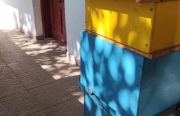 Casa 3 camere, 110 mp, 3.600 mp, teren, zona Teis