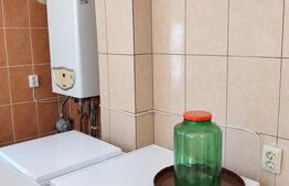 Casa 3 camere, 110 mp, 3.600 mp, teren, zona Teis