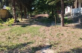 Casa 3 camere, 110 mp, 3.600 mp, teren, zona Teis