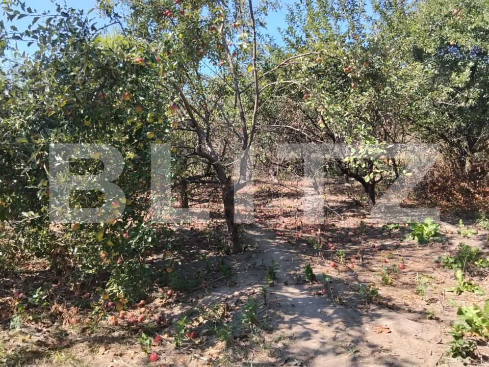 Casa de vânzare 3 camere Teis - 205944CV | BLITZ Târgoviște | Poza18