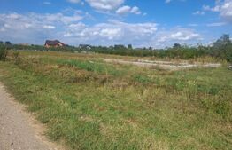 Teren intravilan, 625 mp, deschidere 25 ml, zona Gura Șuții