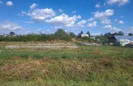 Teren intravilan, 625 mp, deschidere 25 ml, zona Gura Șuții