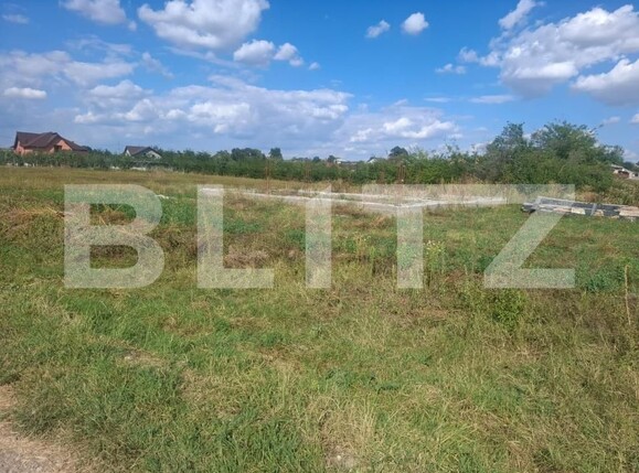 Teren de vânzare Gura Sutii - 206065TV | BLITZ Târgoviște | Poza5