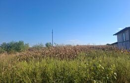 Teren intravilan, 5.000 mp, deschidere 20 ml, zona Bungetu
