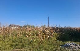 Teren intravilan, 5.000 mp, deschidere 20 ml, zona Bungetu