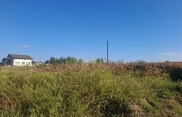 Teren intravilan, 5.000 mp, deschidere 20 ml, zona Bungetu