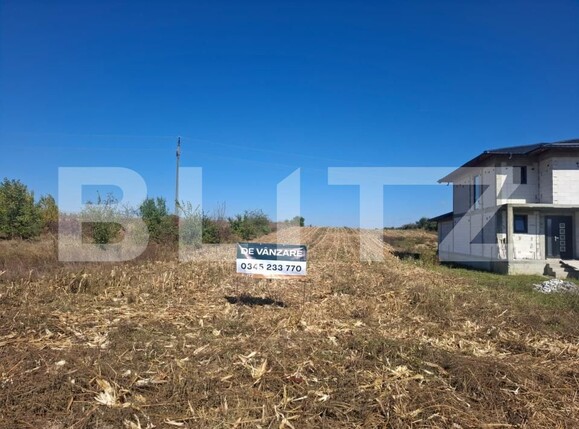 Teren de vânzare Bungetu - 206071TV | BLITZ Târgoviște | Poza1
